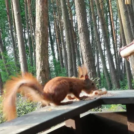 Prázdninový dům Letniskowy 