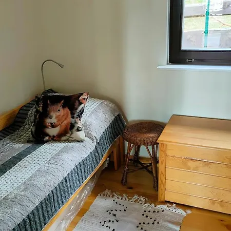 Letniskowy Wiewiórka Casa de Férias Ocypel