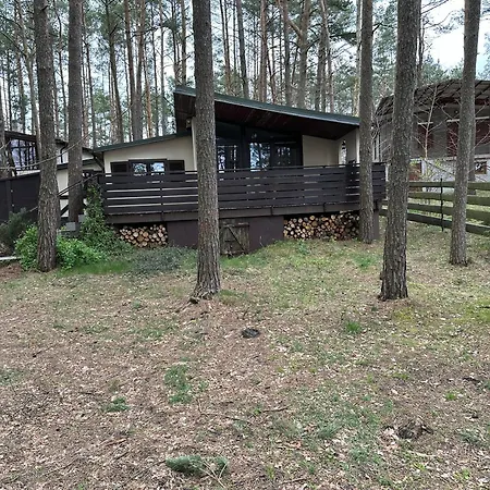 Letniskowy Wiewiórka Сasa de vacaciones