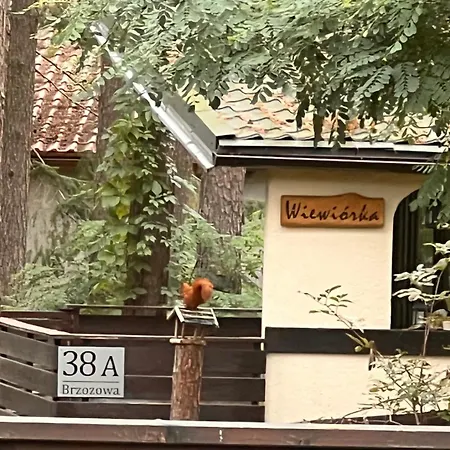 Letniskowy Wiewiórka