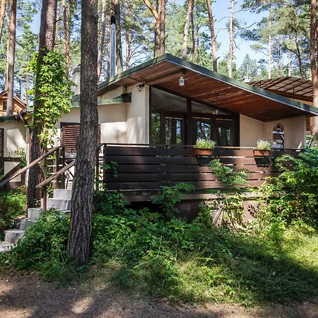 Letniskowy Wiewiórka