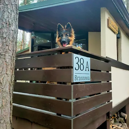 Letniskowy Wiewiórka *